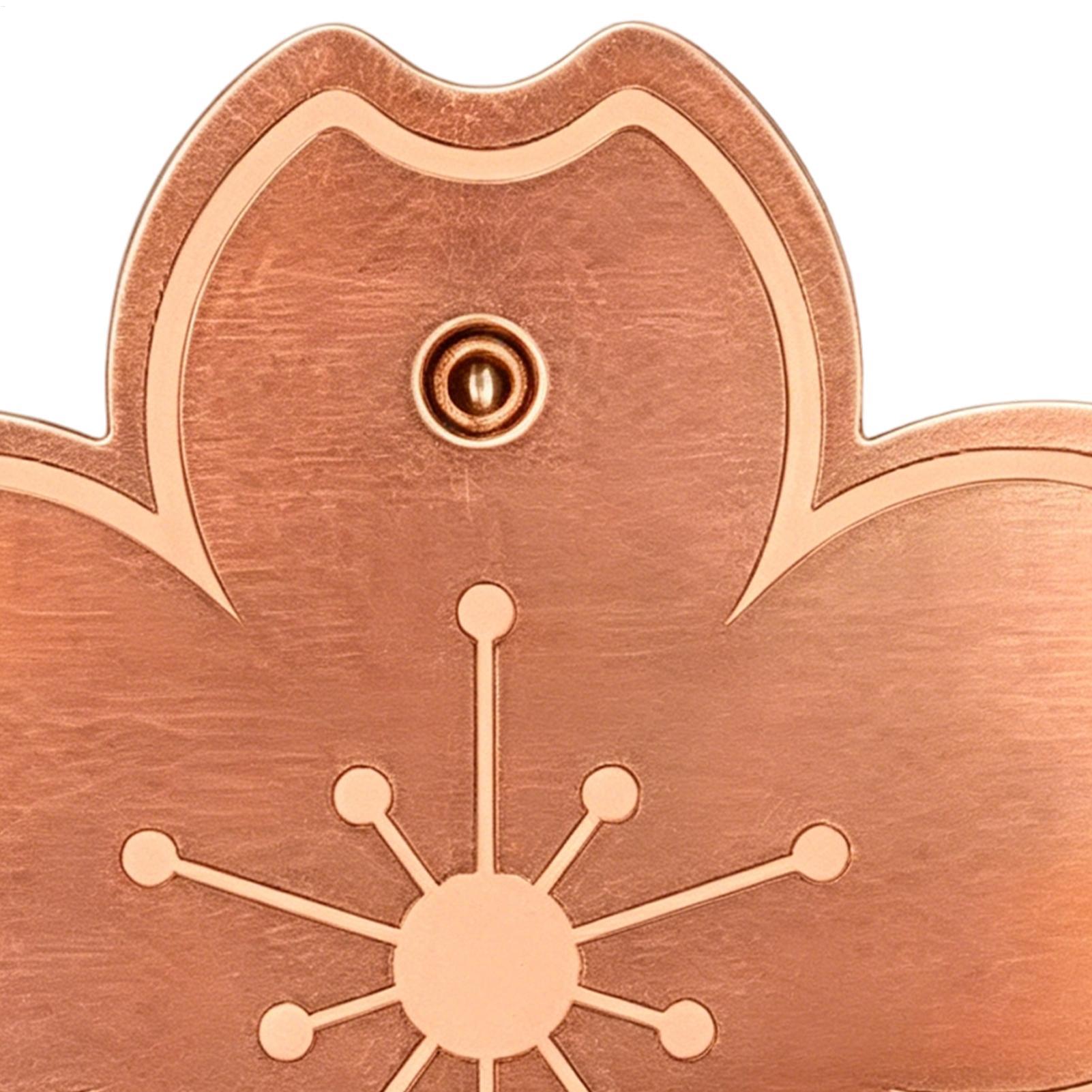 Watch Es - Plaque de purification en cuivre pour